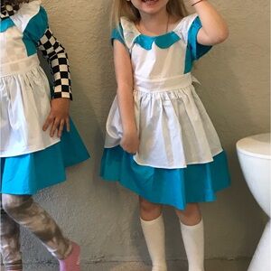 Alive in wonderland dress costume